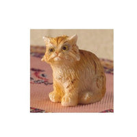 Posie ,, the ginger" kat