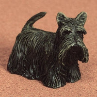Skotsk terrier