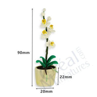 Orkide i Keramikpotte