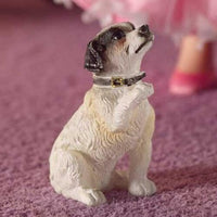 Jack Russel terrier, Fergie