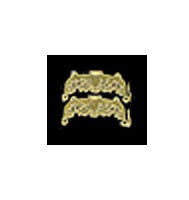 Taskebeslag-guld