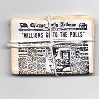 Chicago daily tribune bundt m/ 5 aviser