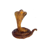 Konge cobra