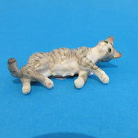 Gravid kat