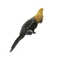 cockatiel grå m/ gul hoved
