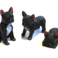 French bulldog pr. stk.
