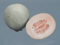 1/2 Cantaloupe melon
