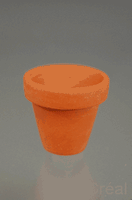 Blomsterpotte terra cotta