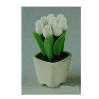 Tulipaner baby, hvid i Provence potte