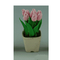 Tulipan, baby pink i Provence potte