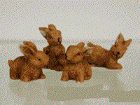 Hare pr. stk.
