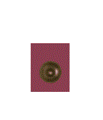 Messing knop 6 stk.