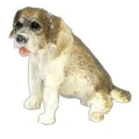 Bådsmands hund