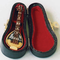 Mandolin i kasse