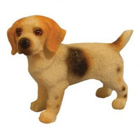 Stående Beagle