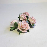 Pink stor rose