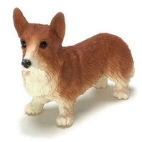 Red Corgi