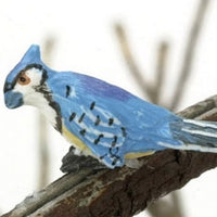 Blue Jay