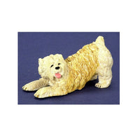 Soft Coated Wheaton Terrier