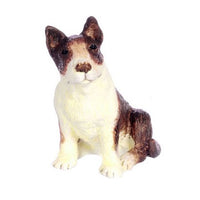 Bullterrier