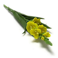 Gladiolus gul pr. stk.