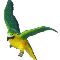 Green winged Macan