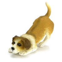 Sniffing Jack Russel