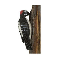 Downy woodpecker - spætte