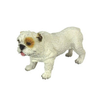Bulldog
