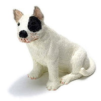 Bull terrier