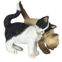 Gnubbende katte sort & hvid