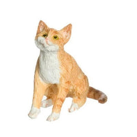 Kat