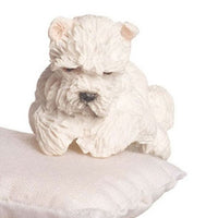 West Heighland Terrier