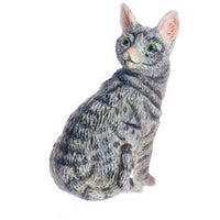 Kat
