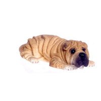 Sharpei