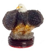 Ørn