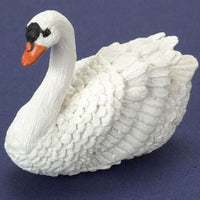 Svane