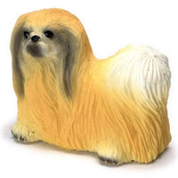 Pekingese