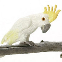 Cacadue