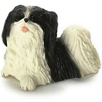 Japanese chin