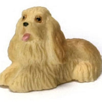 Cocker hvalp