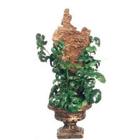 Philodendron