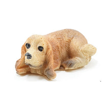 Bassethound