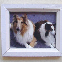Billede 2 hunde