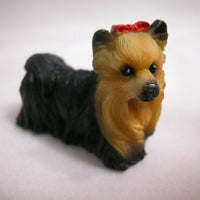 Heidi Ott: Yorkshire terrier