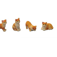 Katte ginger/ white ass.pr. stk.