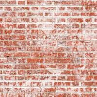 Murstenstapet Weathered / white mursten Flemish bond