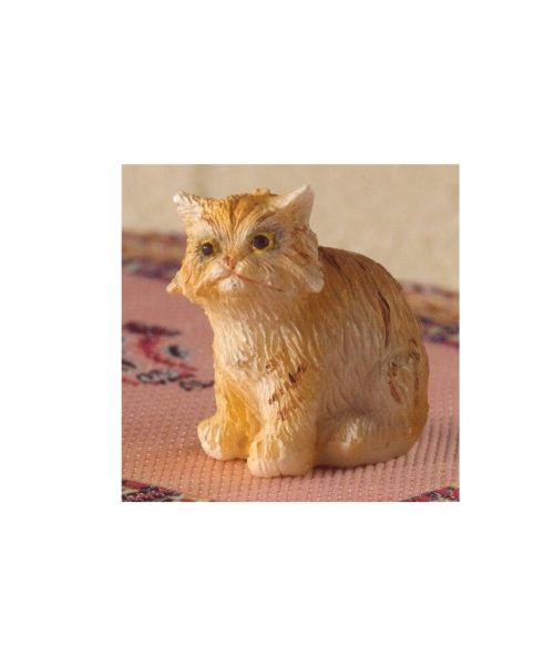 Posie ,, the ginger" kat