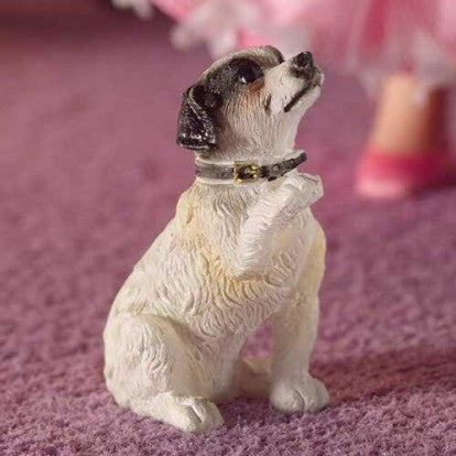Jack Russel terrier, Fergie