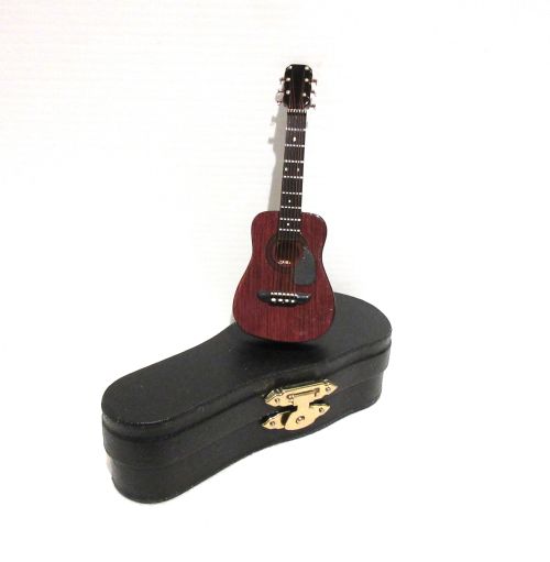 Acoustic guitar i læderbox